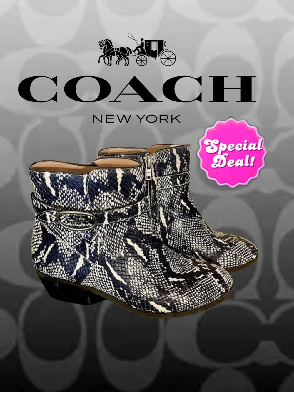 Coach Women’s Dylan Horse-And-Carriage Leather Booties Size 7.5  EUC